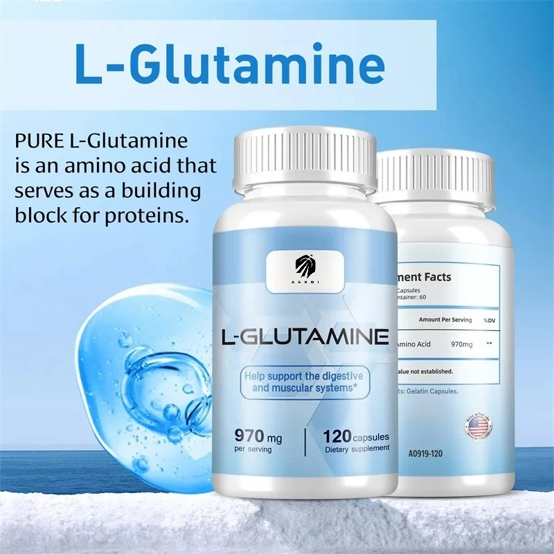 L-Glutamin-Ergänzungsmittel fü – Nutrition Sports Fitness Bewertung und Preis